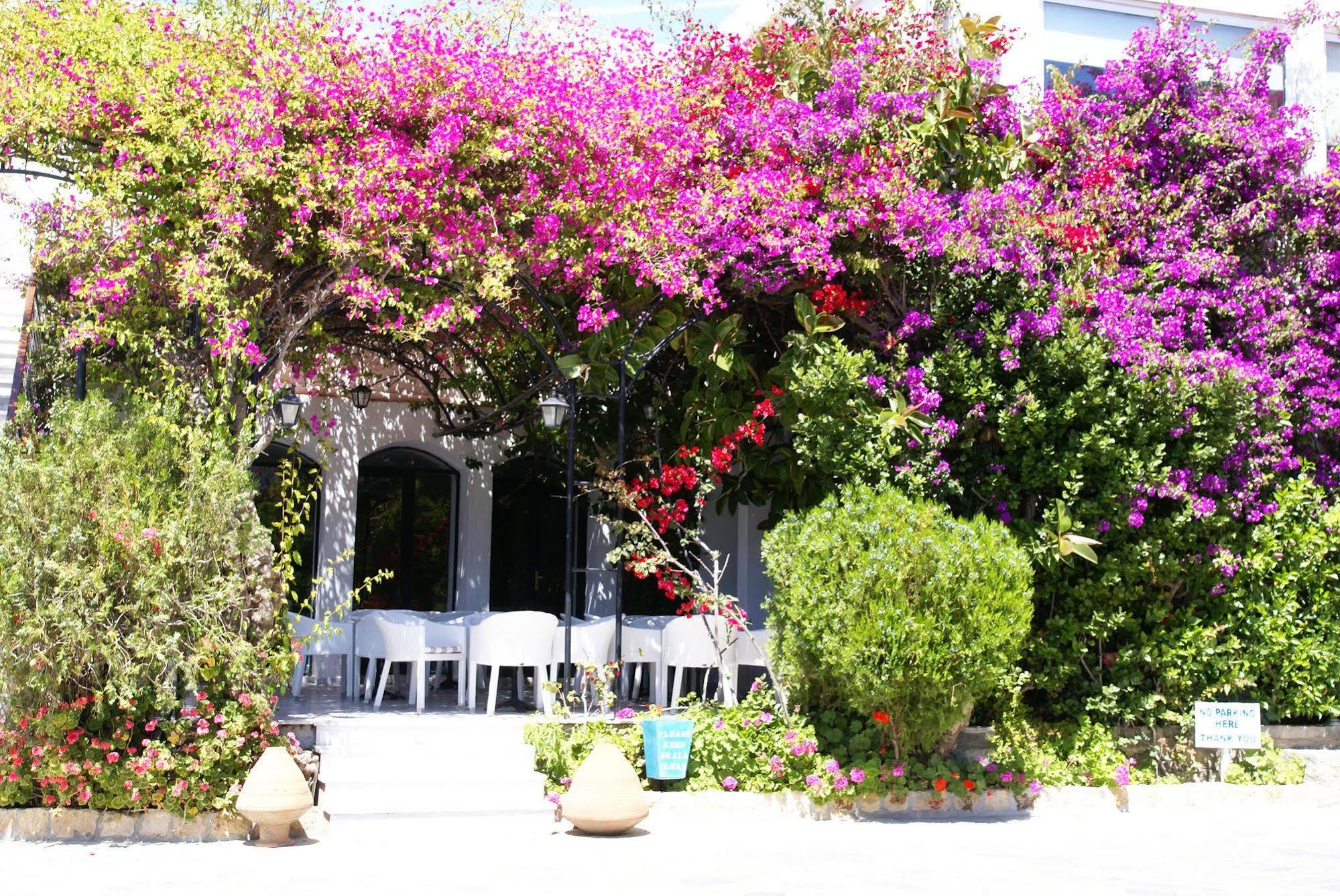 Skala Hotel Ngoại thất bức ảnh